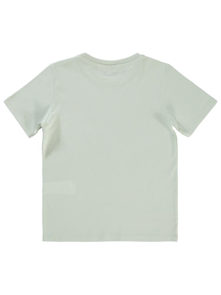 Tazmanya Taz Baskılı 6-9 Yaş Tişört - Gri