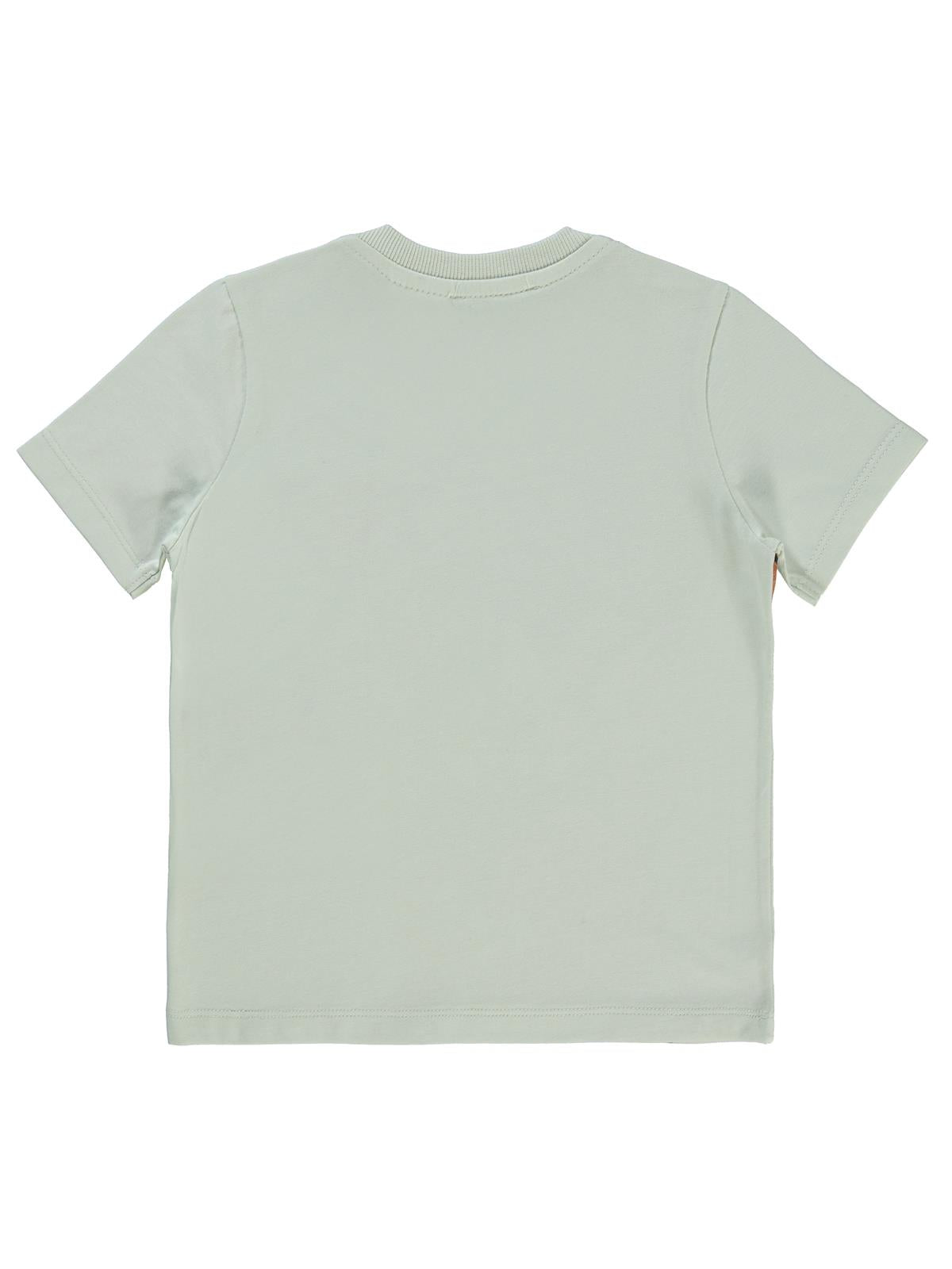 Tazmanya Taz Baskılı 2-5 Yaş Tişört - Gri