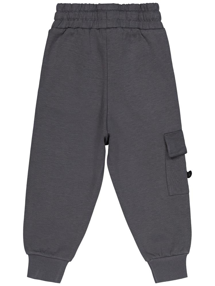 Civil Boys Cebi Kaplan Nakışlı 2-5 Yaş Eşofman Altı - Gri