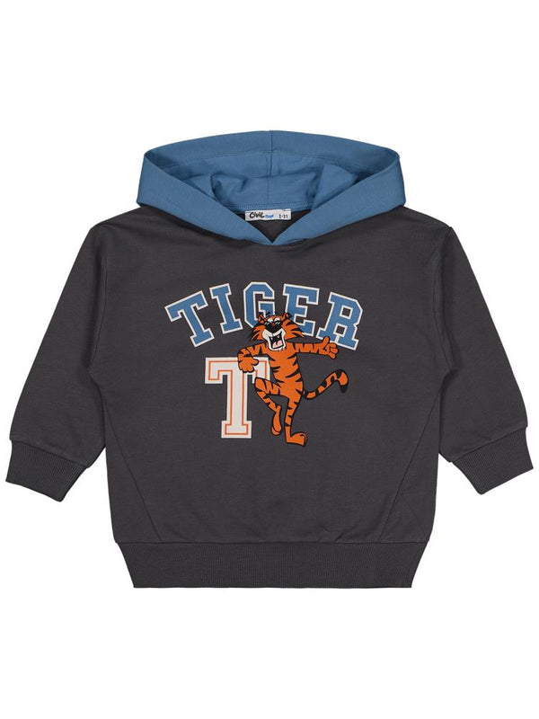 Civil Boys Tıger Dance Baskılı 2-5 Yaş Sweatshirt - Gri