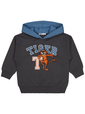Civil Boys Tıger Dance Baskılı 2-5 Yaş Sweatshirt - Gri
