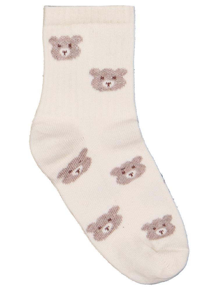 Civil Boys Bear 3'lü 2-12 Yaş Erkek Soket Çorap