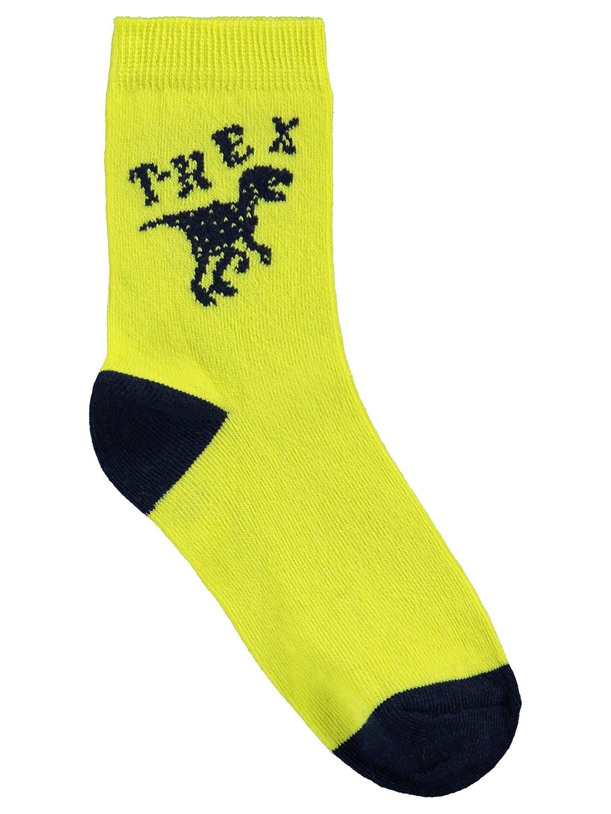 Civil Boys T-Rex 3'lü 2-12 Yaş Erkek Soket Çorap