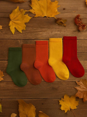 Civil Boys Basic 5'Li 2-12 Yaş Erkek Soket Çorap