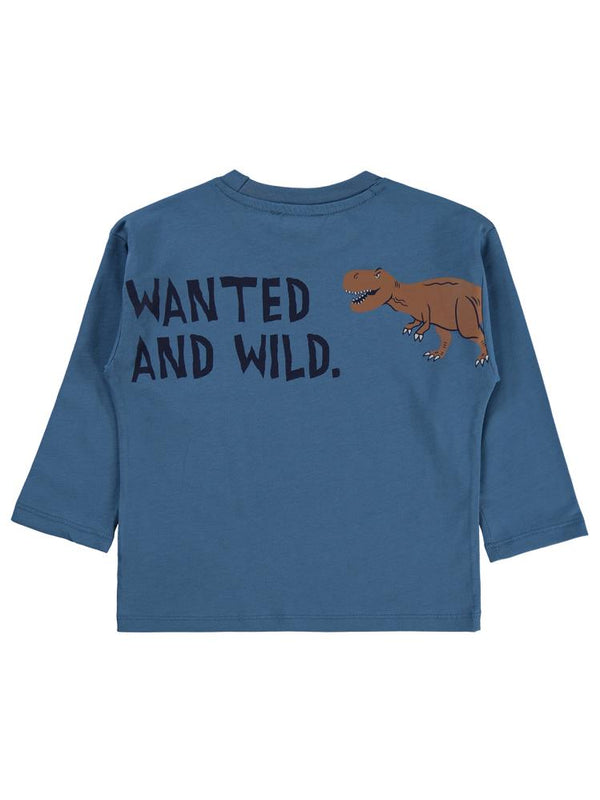 Civil Boys Dinosaur Walk Baskılı 2-5 Yaş Sweatshirt - Mavi