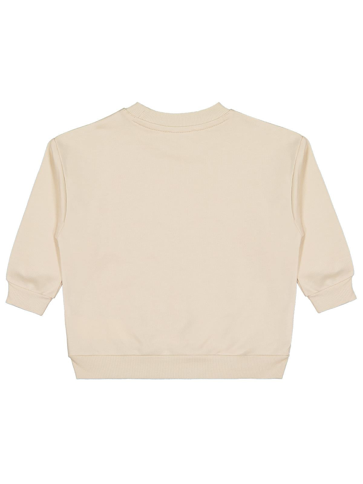 Civil Boys Trex Baskılı 2-5 Yaş Sweatshirt - Bej