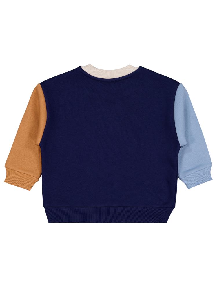 Civil Boys Stegosaurus Baskılı 2-5 Yaş Sweatshirt - Lacivert