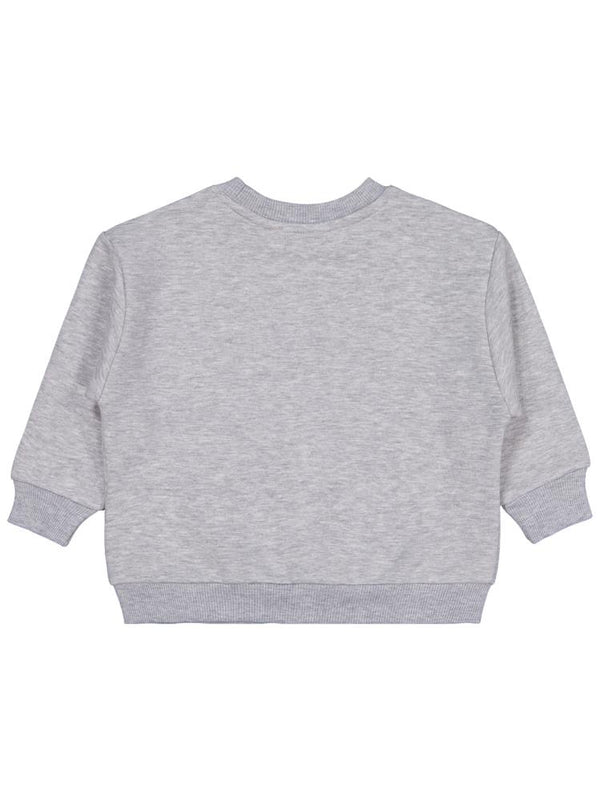 Civil Boys Skater Baskılı 2-5 Yaş Sweatshirt - Gri