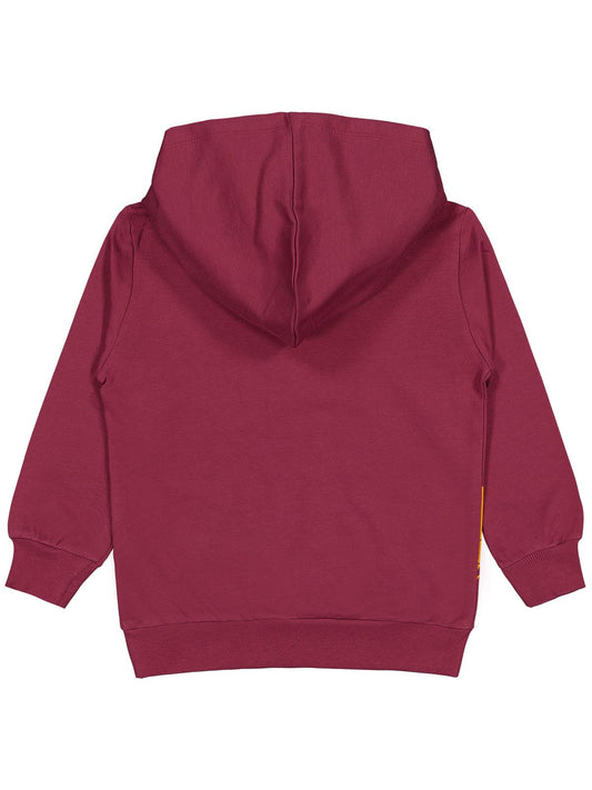 Civil Boys Erkek Çocuk Cool Star Baskılı 2-5 Yaş Sweatshirt - Bordo