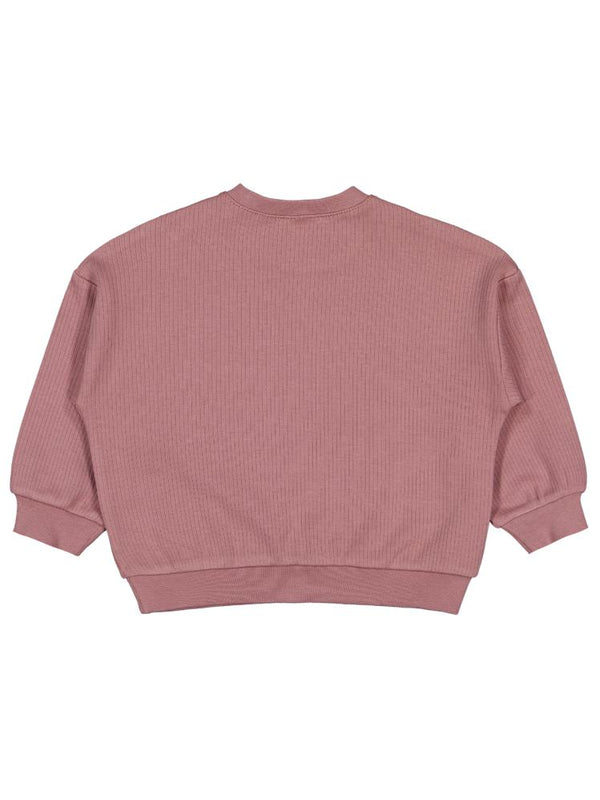 Civil Baby Roarrr Dinozor Nakışlı 6-18 Ay Sweatshirt - Kahve