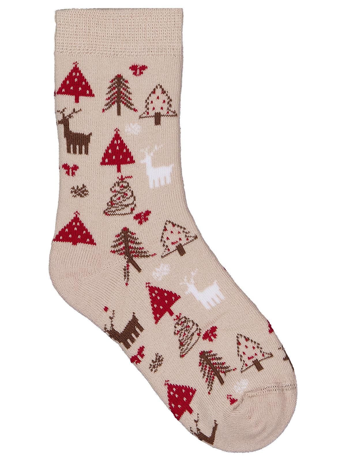 Civil Boys Space Havlu 2'li 2-12 Yaş Erkek Soket Çorap