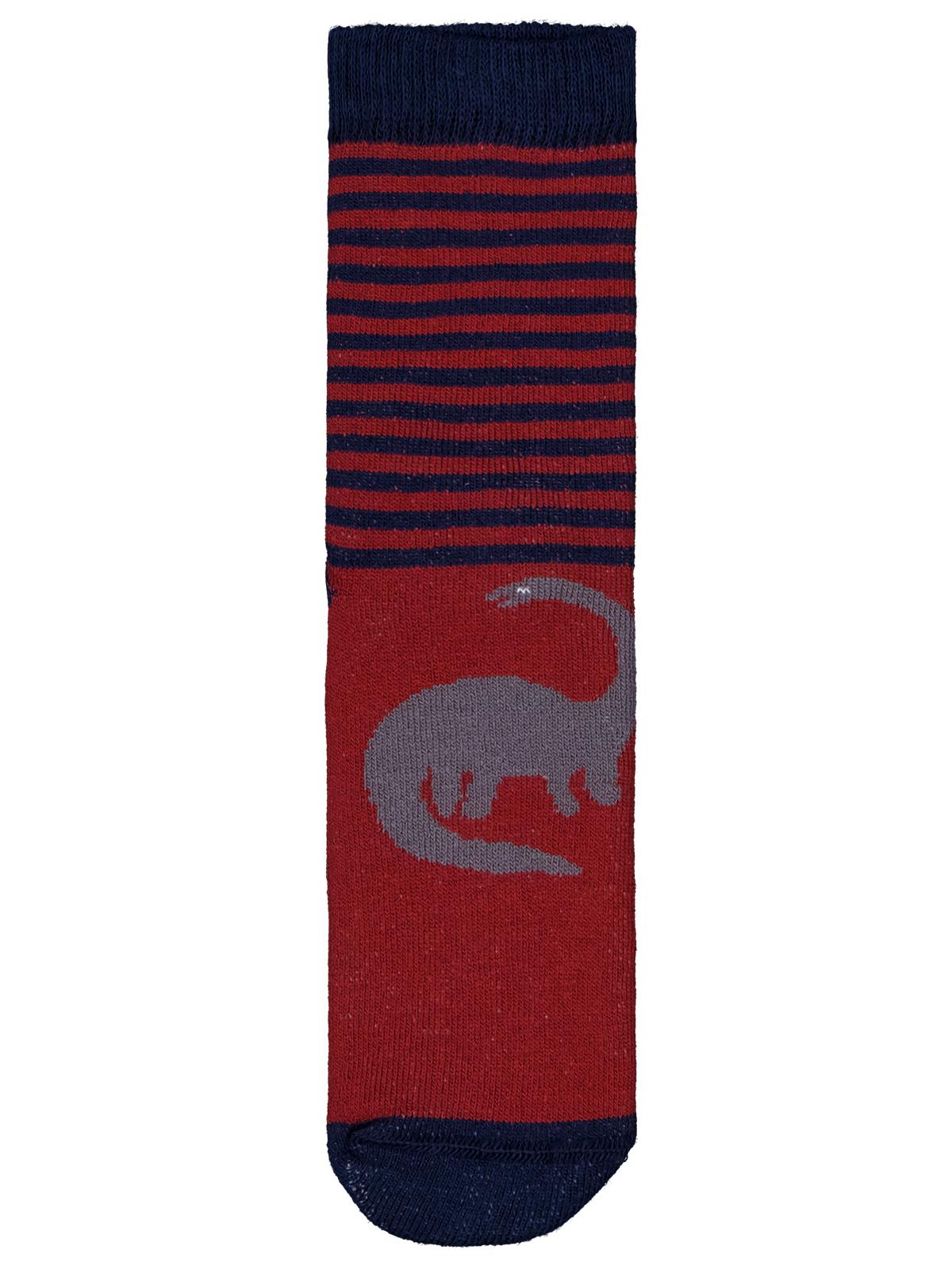 Civil Boys Monster Havlu 2'li 2-12 Yaş Erkek Soket Çorap