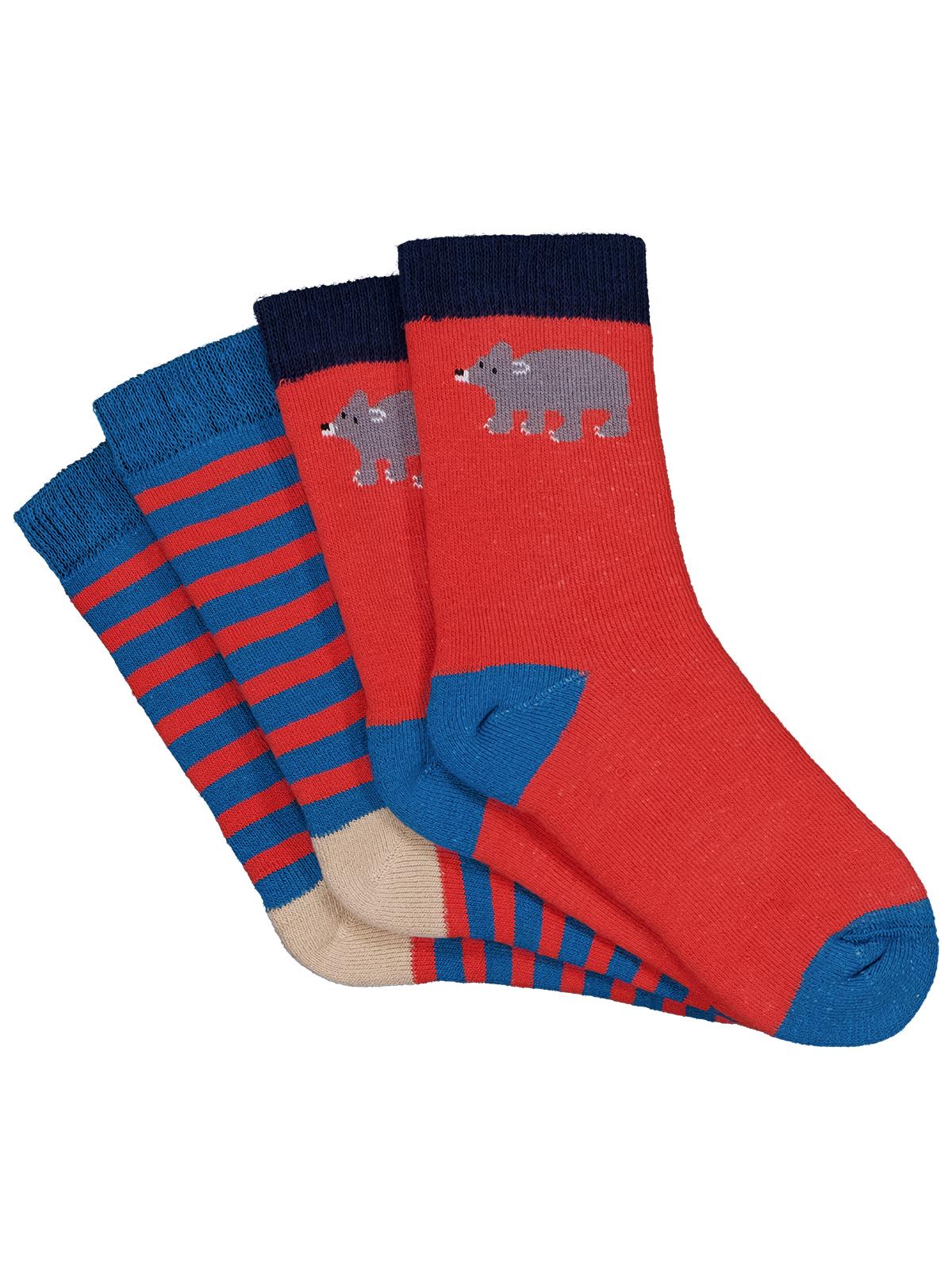 Civil Boys Bear Havlu 2'li 2-12 Yaş Erkek Soket Çorap