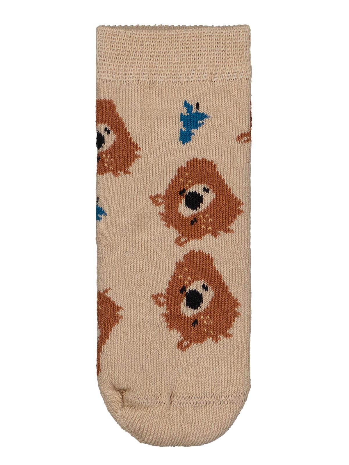 Civil Baby Bear Havlu 6-18 Ay 2'li Bebek Erk Çorap Set