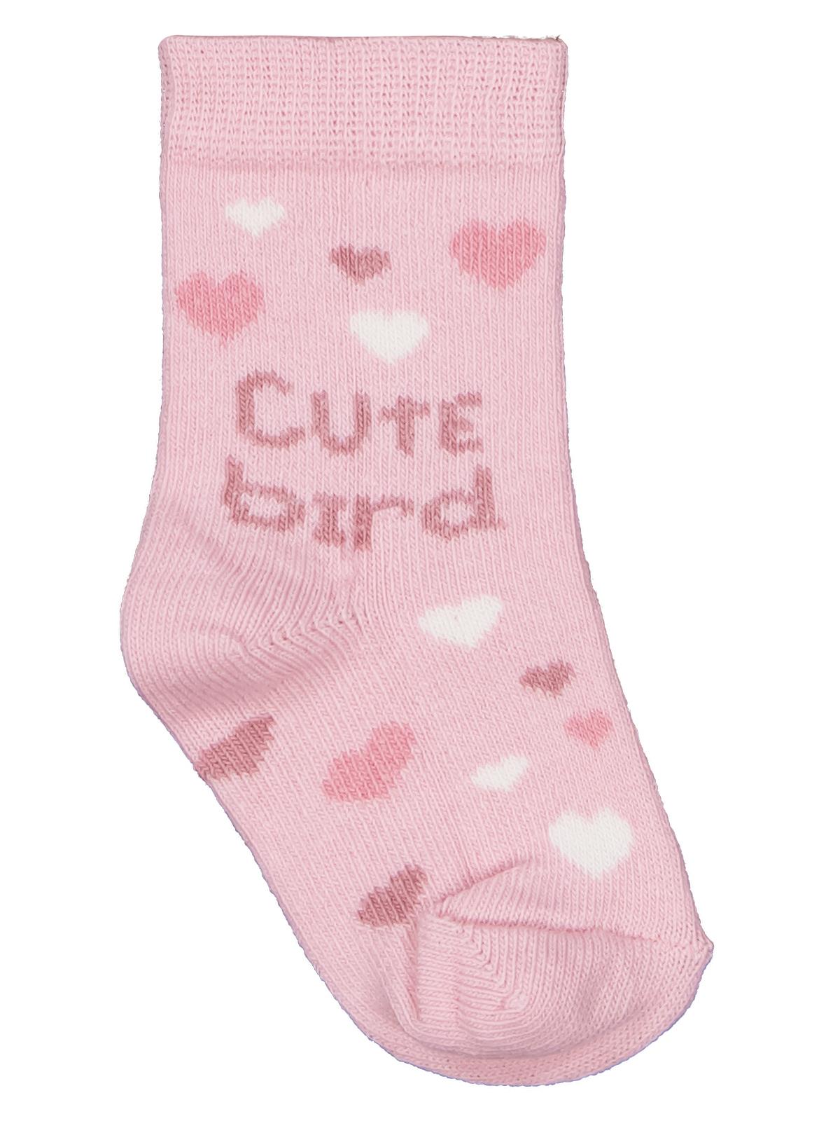 Civil Baby Cute Bird 3'lü 6-18 Ay Bebek Kız Çorap Set