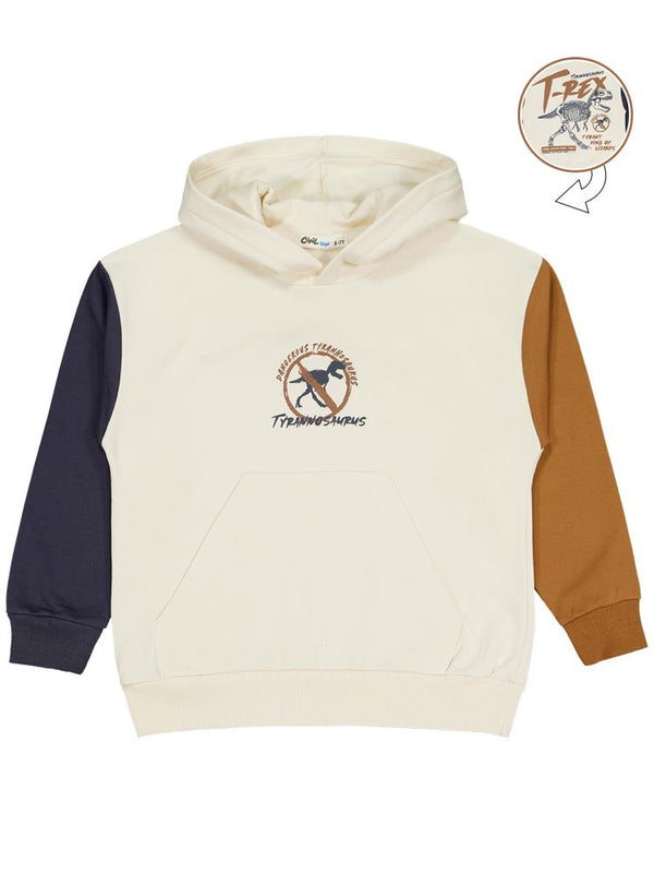 Civil Boys T Rex Baskılı Kapşonlu 6-9 Yaş Sweatshirt - Gri