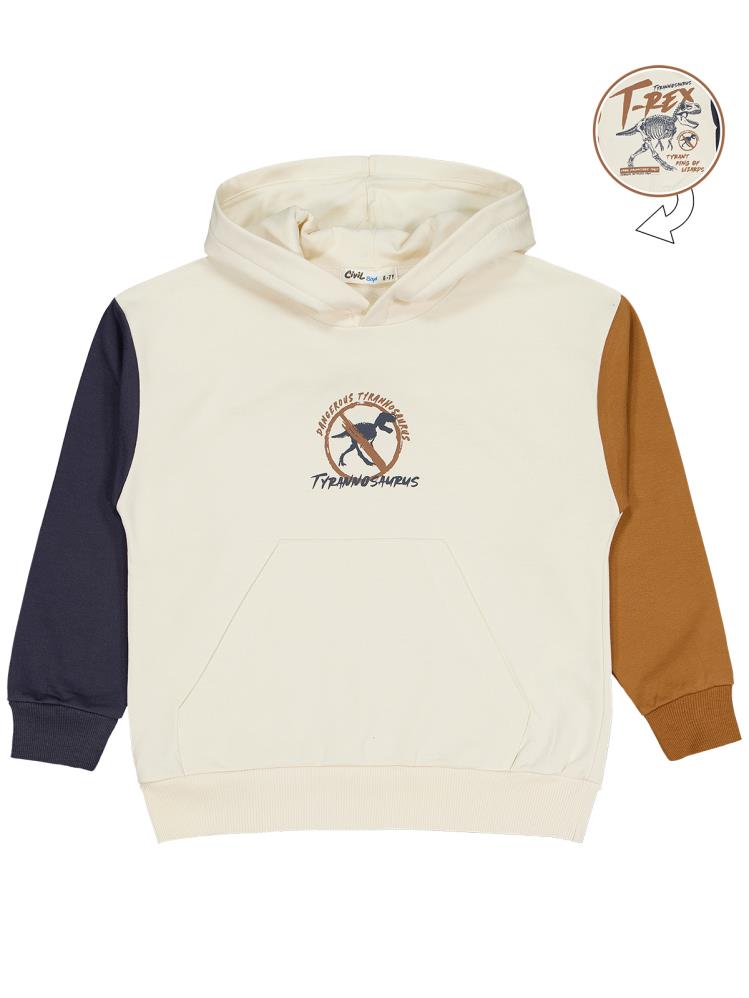 Civil Boys T Rex Baskılı Kapşonlu 6-9 Yaş Sweatshirt - Gri