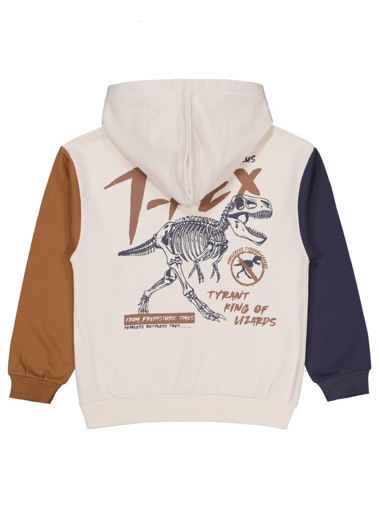 Civil Boys T Rex Baskılı Kapşonlu 10-13 Yaş Sweatshirt - Gri