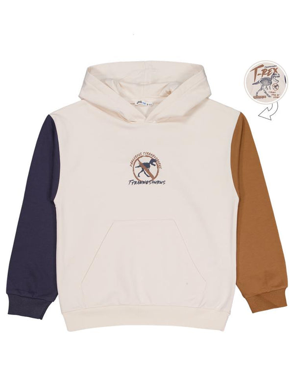 Civil Boys T Rex Baskılı Kapşonlu 10-13 Yaş Sweatshirt - Gri