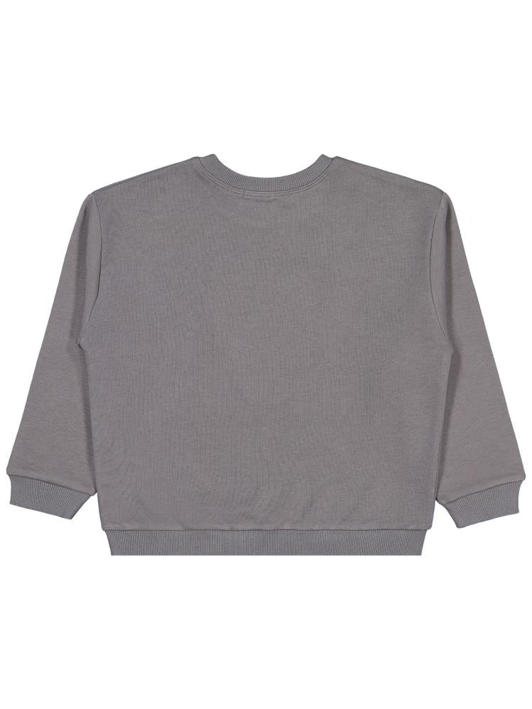 Civil Boys Aslan Nakışlı 6-9 Yaş Sweatshirt - Gri