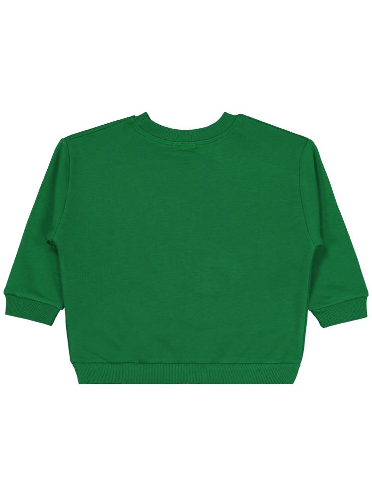 Civil Boys Dinozor Nakışlı 2-5 Yaş Sweatshirt - Yeşil