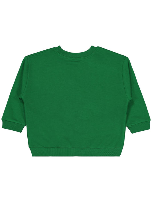 Civil Erkek Çocuk Dinozor Nakışlı Sweatshirt | 3 İp Uzun Kol | Okul Kreş ve Günlük Kullanım - Yeşil