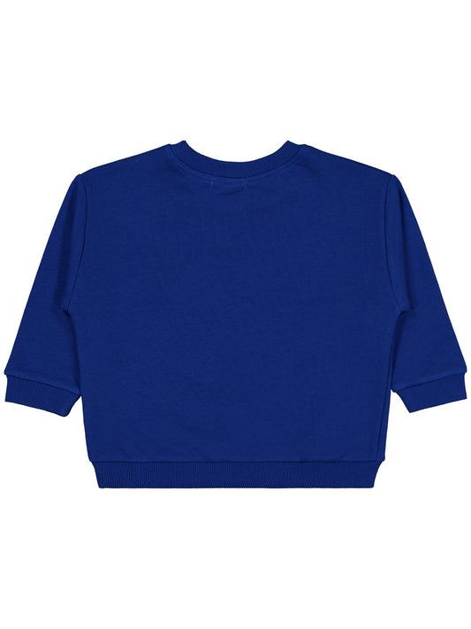 Civil Erkek Çocuk Dinozor Nakışlı Sweatshirt | 3 İp Uzun Kol | Okul Kreş ve Günlük Kullanım - Mavi