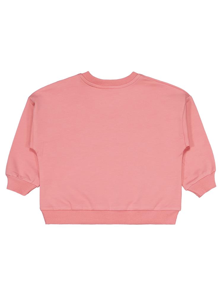 Civil Baby Ayıcık Baskılı 3'lü Set 6-18 Ay Sweatshirt