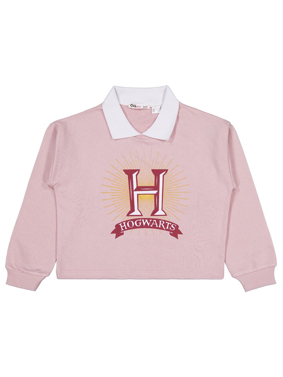 Harry Potter Sweatshirt | 3 İp Şardonsuz Uzun Kol Bisiklet Yaka | Okul Kreş ve Günlük Kullanım - Pembe