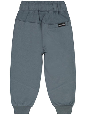 Pierre Cardin Armalı 2-5 Yaş Eşofman Altı - Gri