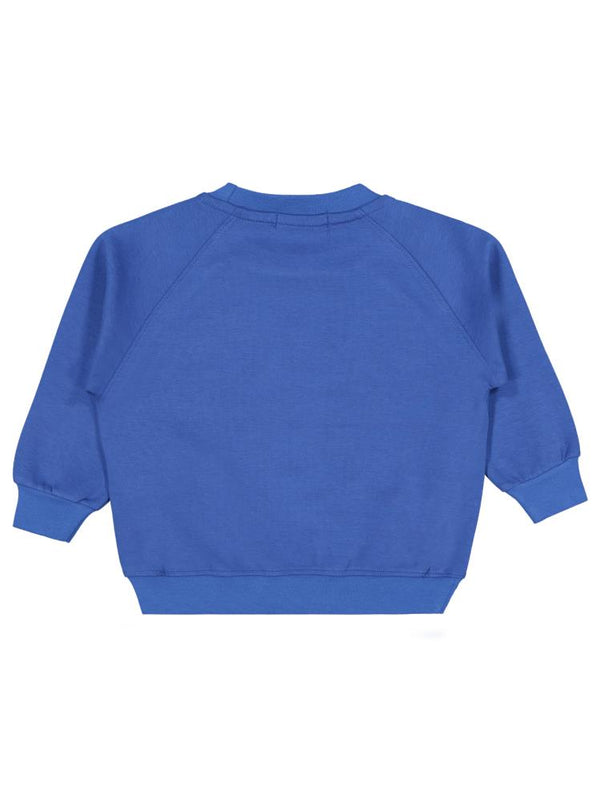 Pierre Cardin Armalı 2-5 Yaş Sweatshirt - Mavi