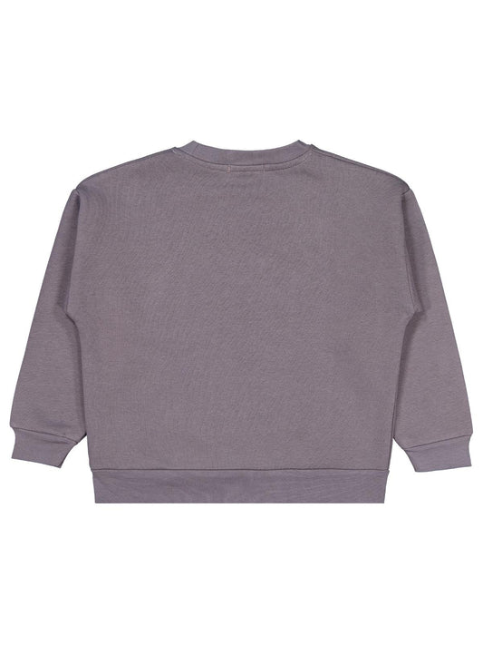 Civil Erkek Çocuk Banosome Baskılı Sweatshirt | 3 İp Uzun Kol | Okul Kreş ve Günlük Kullanım - Gri
