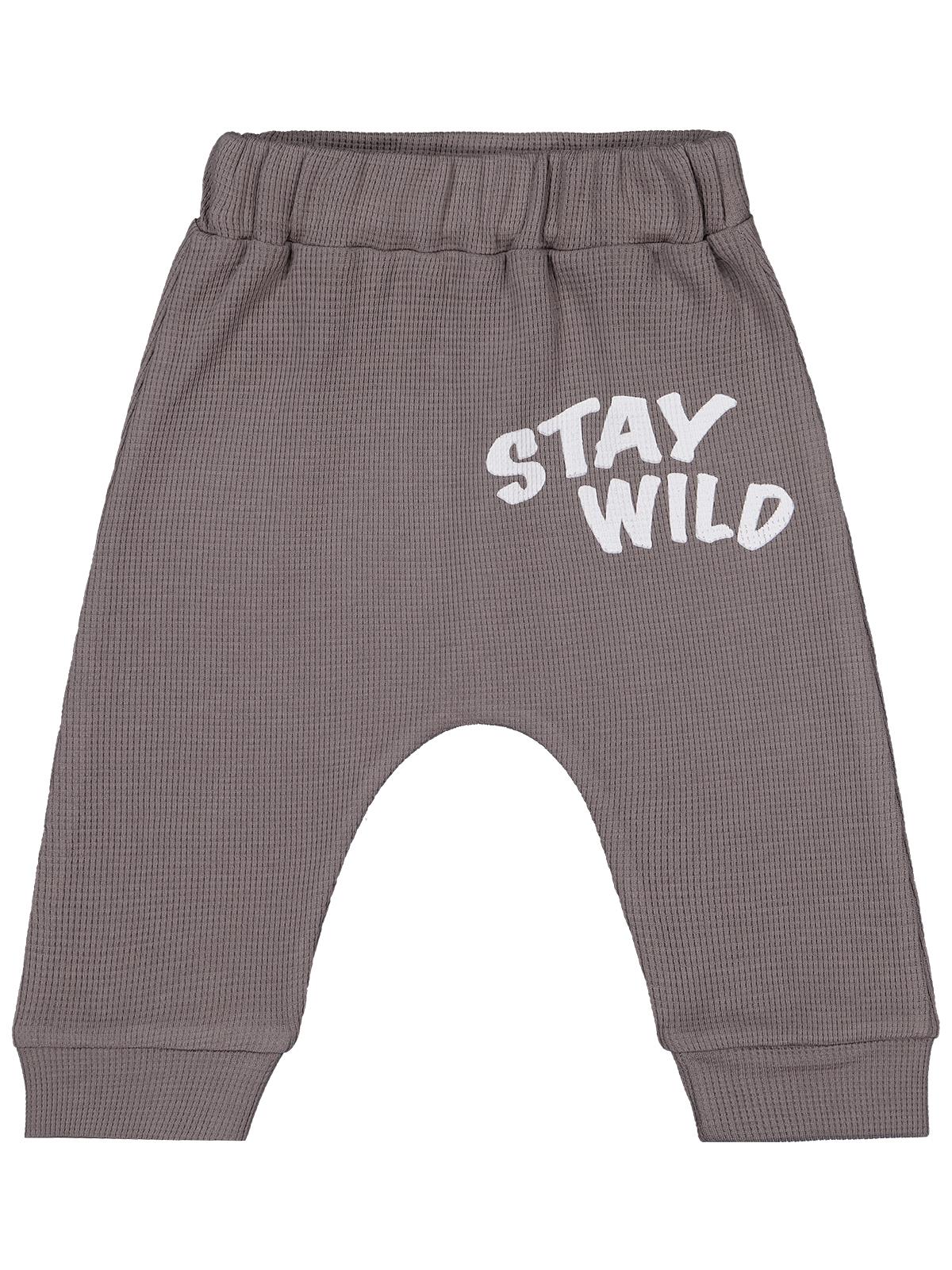 Civil Baby Kedi Yüz Baskılı 6-18 Ay Tek Alt Bebe - Gri