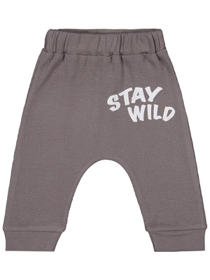 Civil Baby Kedi Yüz Baskılı 6-18 Ay Tek Alt Bebe - Gri