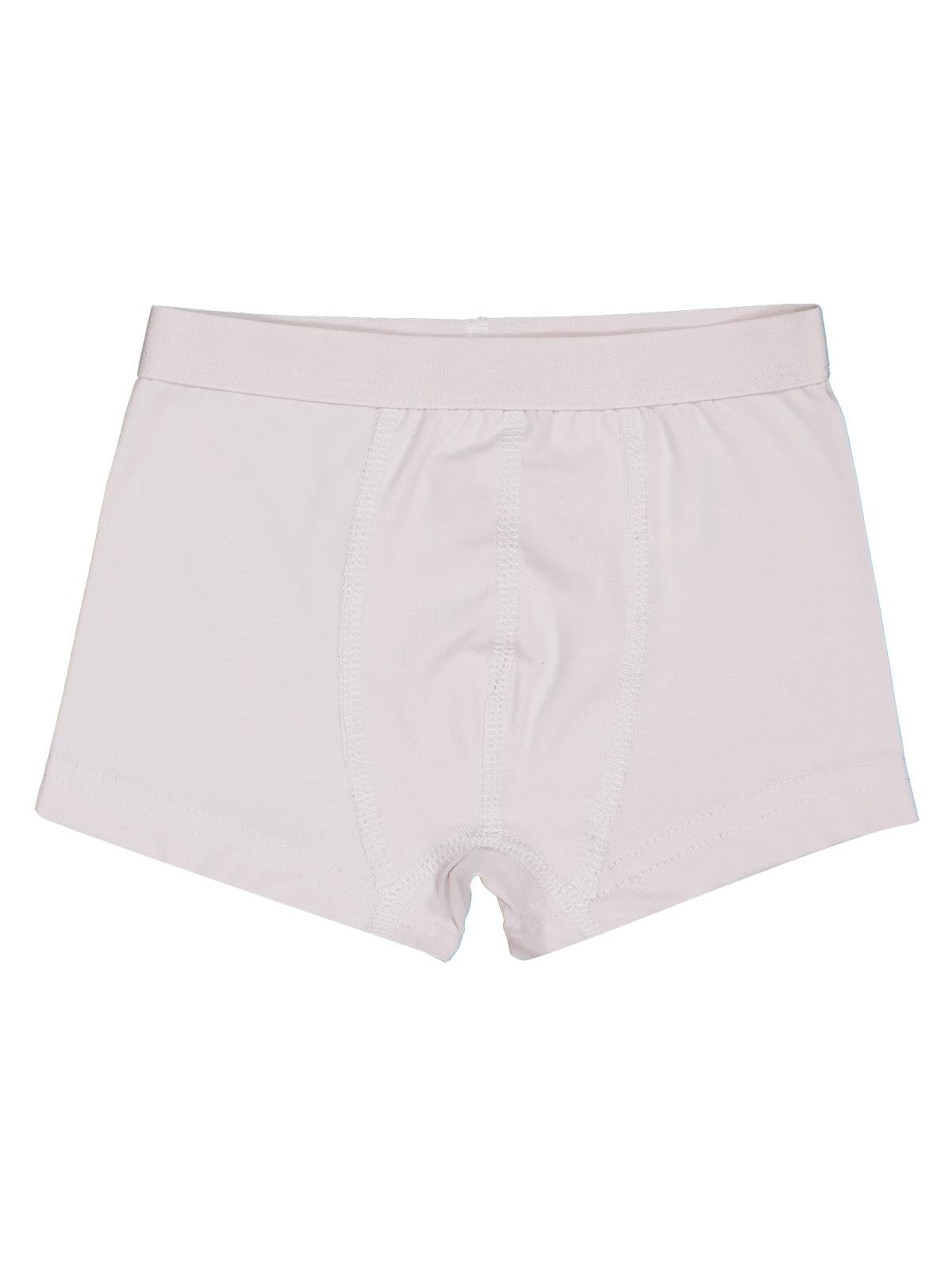 Civil Boys Mavi-Gri 2-12 Yaş Erkek Çocuk 2'li Boxer