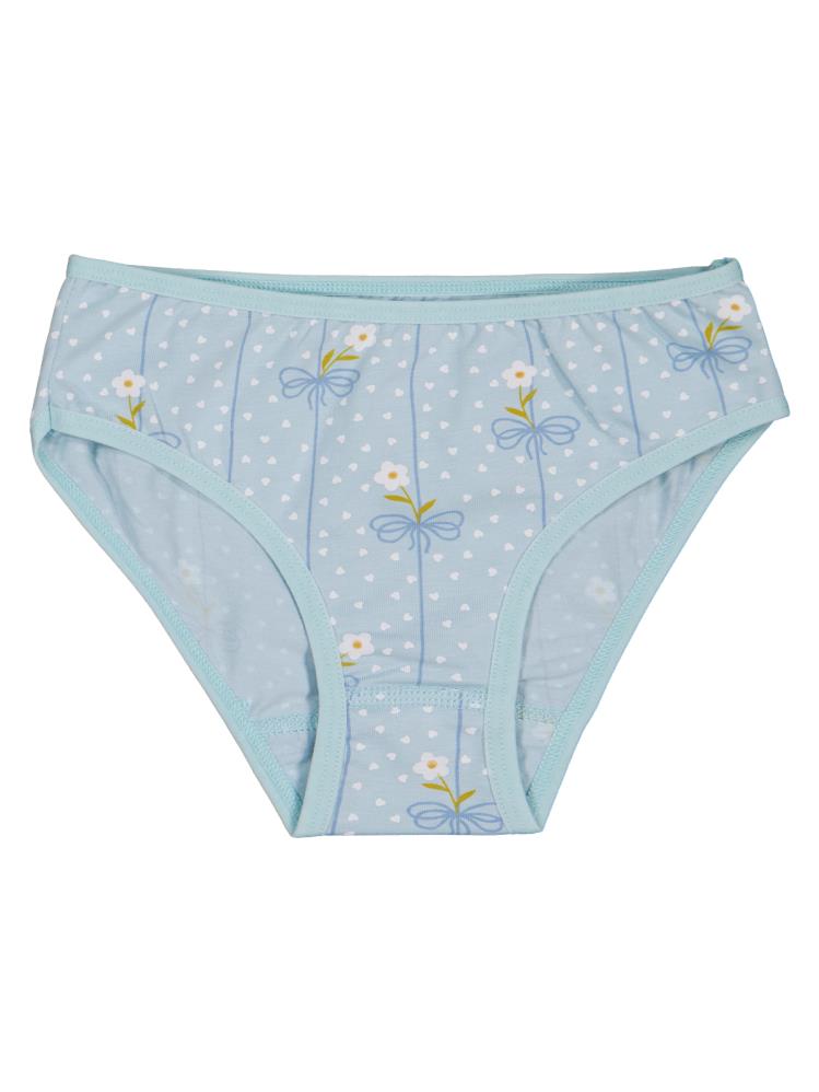 Civil Girls Flower 2-10 Yaş Kız Çocuk 2'li Külot
