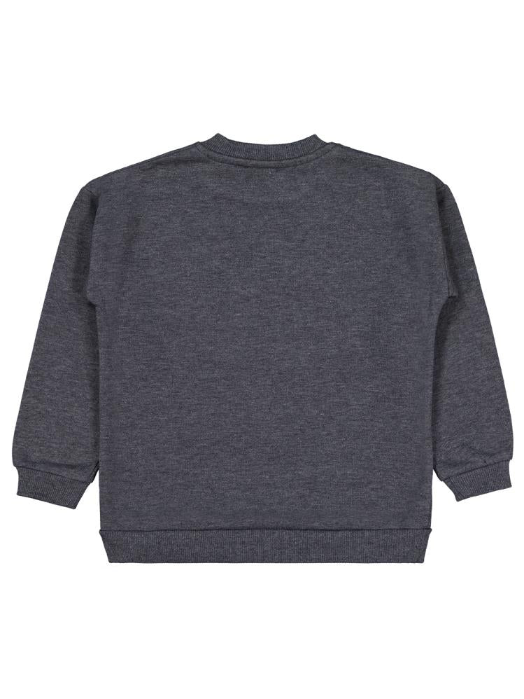 20252424 Civil Girls Wings Baskılı 6-9 Yaş Sweatshirt - Gri