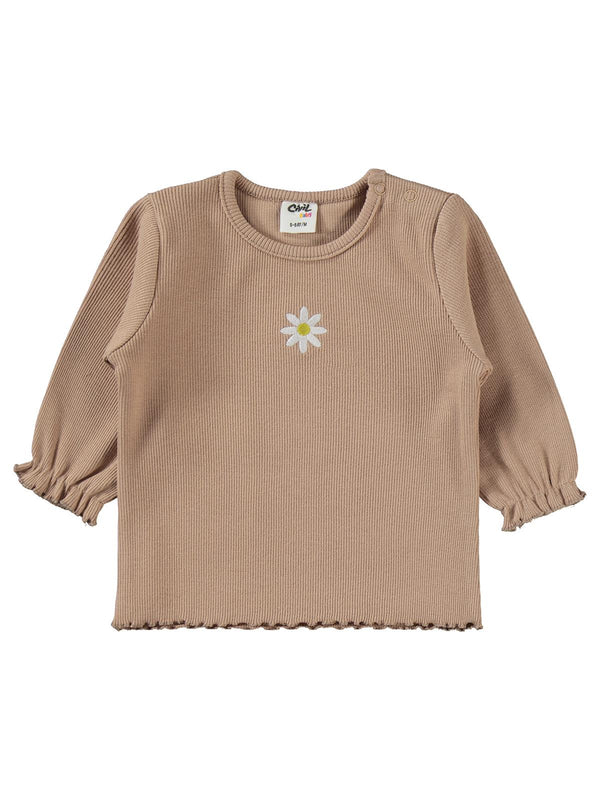 Civil Baby Papatya Nakışlı 6-18 Ay Takım - Kahverengi