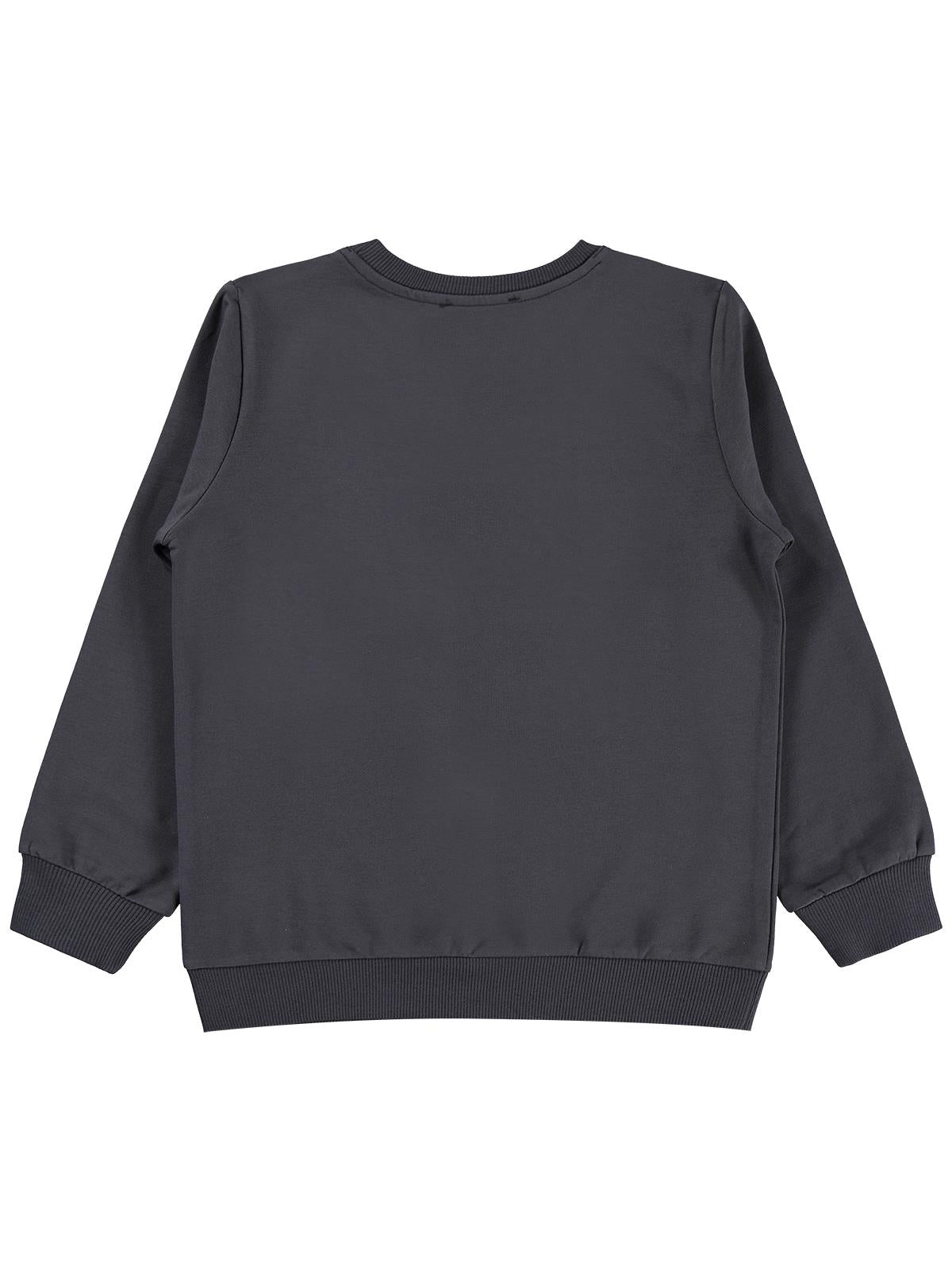 Civil Kız Çocuk Sweatshirt | 2 İp Uzun Kol Bisiklet Yaka Baskılı | Okul Kreş ve Günlük Kullanım - Gri