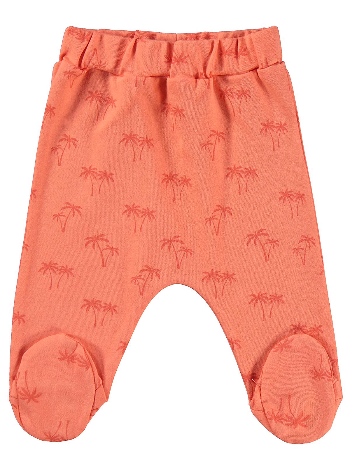 Civil Baby Palmiye Baskılı 2'li Set 1-9 Ay Tek Alt Bebe - Mercan-Mint