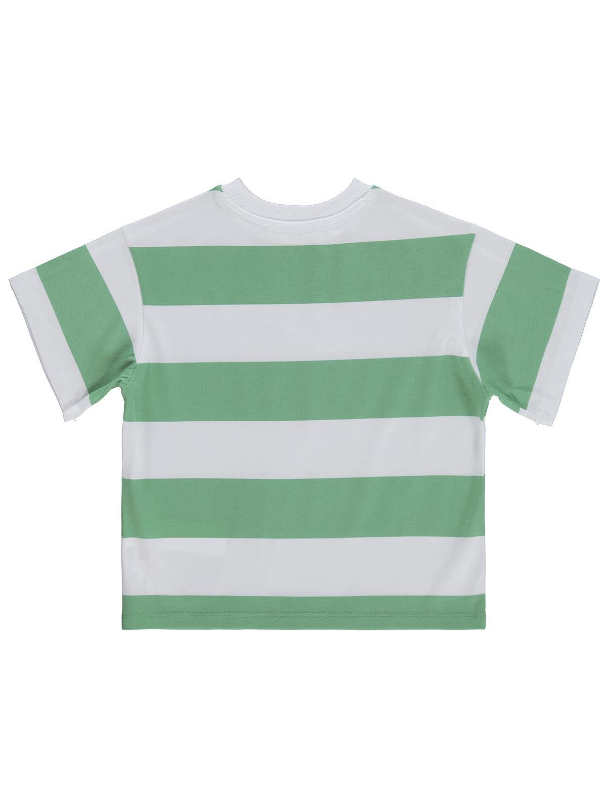 Civil Boys Basic Çizgili 2-5 Yaş Tişört - Yeşil