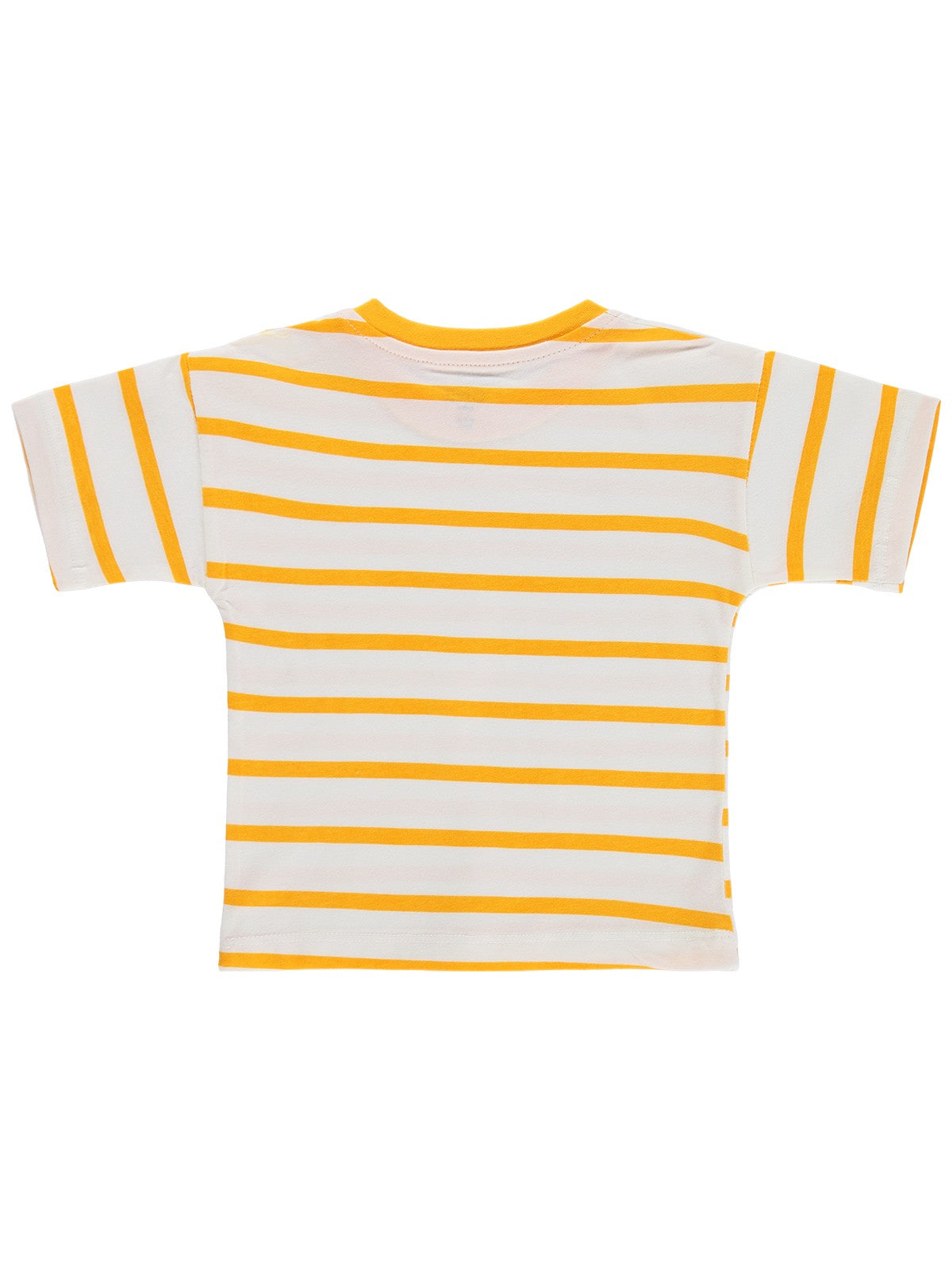 Civil Baby Çizgili 6-18 Ay Tişört - Hardal