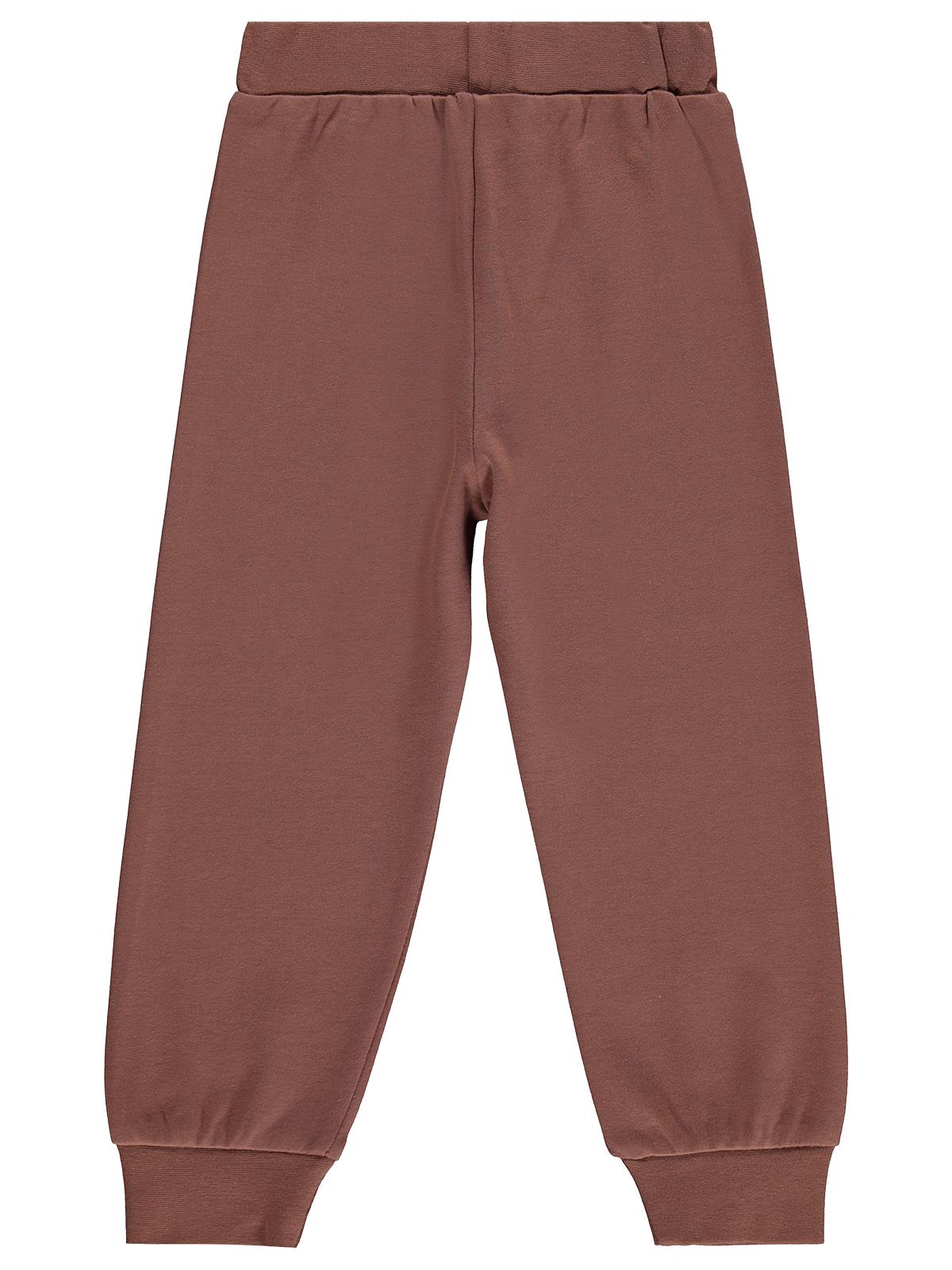 Civil Boys Erkek Çocuk Rakun Baskılı 2-5 Yaş Eşofman Altı  - Kahverengi