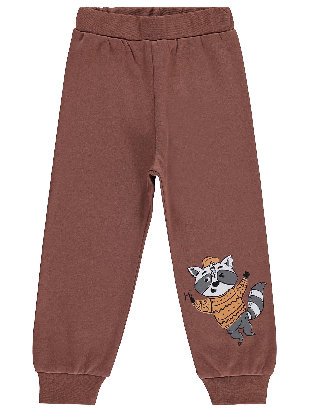 Civil Boys Erkek Çocuk Rakun Baskılı 2-5 Yaş Eşofman Altı  - Kahverengi