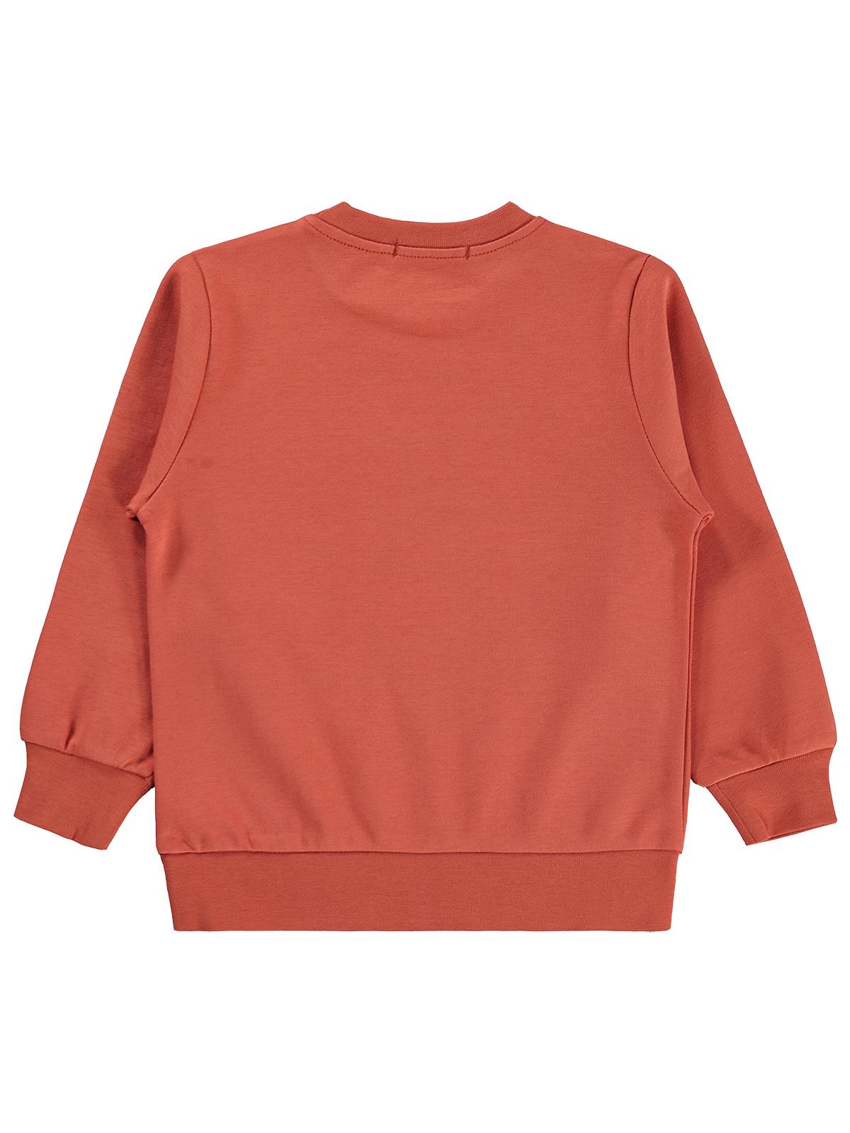 Civil Boys Kaykay Köpek Baskılı 2-5 Yaş Sweatshirt  - Turuncu