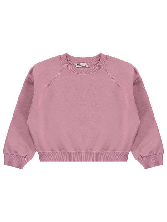 Civil Girls Kız Çocuk Düz Sweatshirt | 3 İp Uzun Kol Bisiklet Yaka | Okul Kreş ve Günlük Kullanım - Pembe
