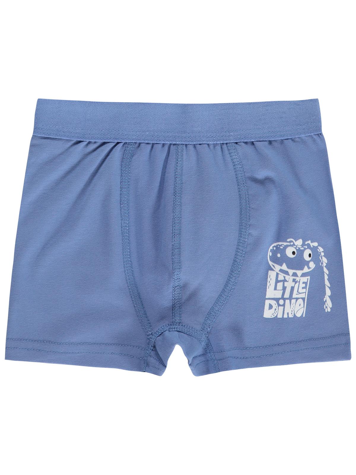 Civil Boys Little Dino 2-12 Yaş Erkek Çocuk 2'li Boxer
