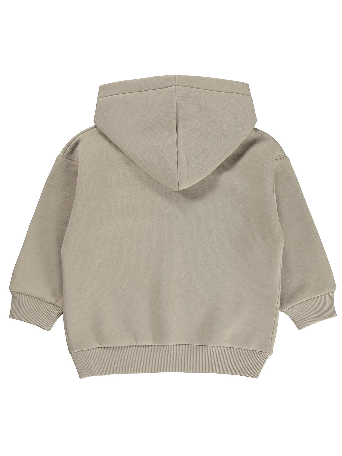 Civil Boys Raptor Baskılı 2-5 Yaş Sweatshirt - Bej