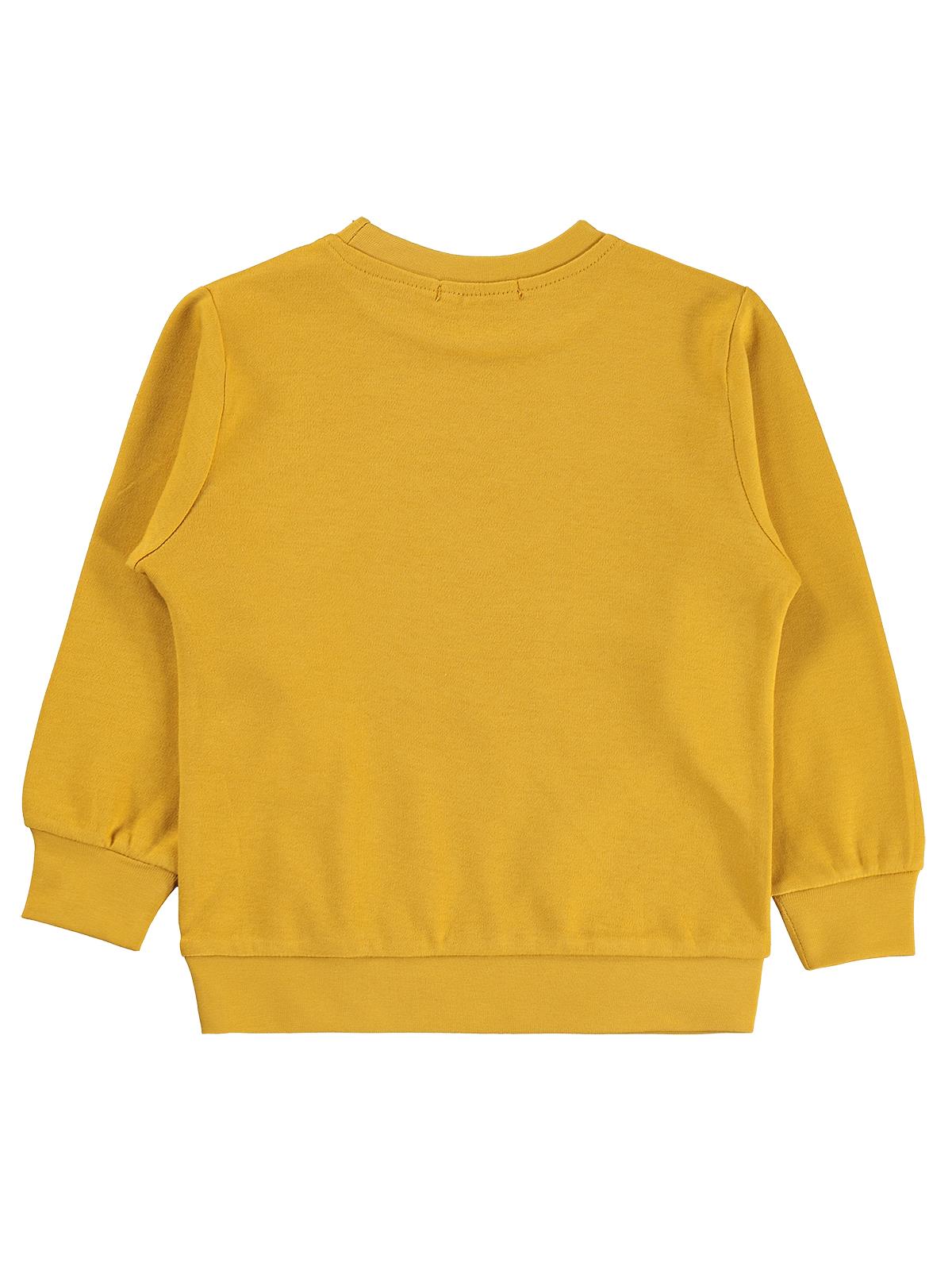 Civil Boys 3'Lü Baskılı Basic 2-5 Yaş Sweatshirt