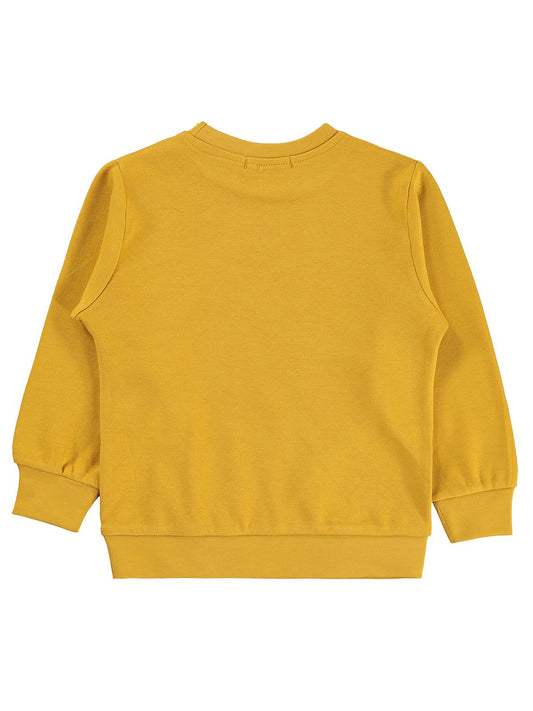 Civil Boys 3'Lü Baskılı Basic 2-5 Yaş Sweatshirt